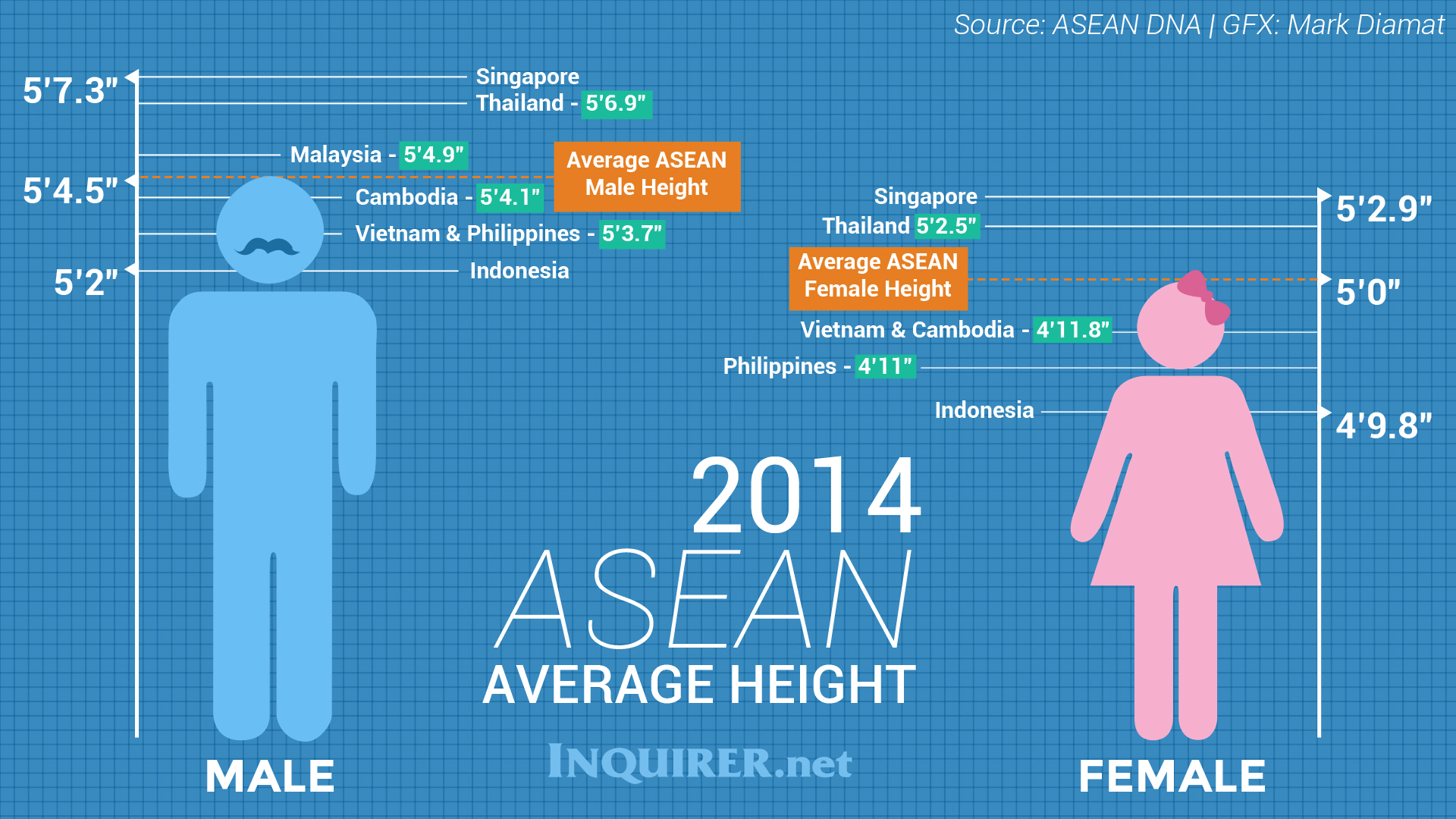 Average East Asian Male Height