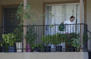 A woman waters plants on the balcony of an apartment in the complex where Thomas Eric Duncan, the Ebola patient who traveled from Liberia to Dallas, stayed last week, Saturday, Oct. 4, 2014, in Dallas. AP FILE PHOTO