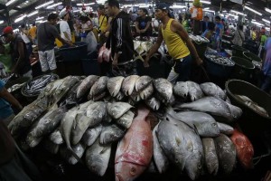 South China Sea: Fish wars