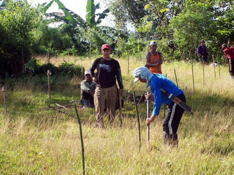 Philippine forest project gets carbon credits | Global News