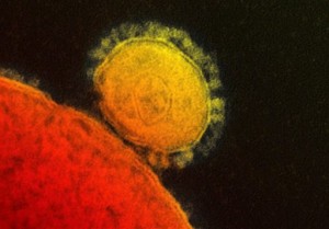 This file photo provided by the National Institute for Allergy and Infectious Diseases shows a colorized transmission of the MERS coronavirus that emerged in 2012. AP FILE PHOTO