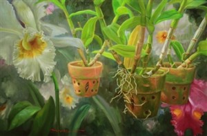 Cattleya, oil on canvas
