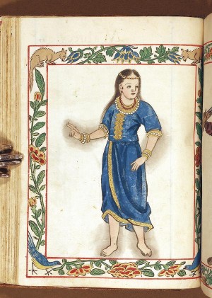 Native Princess_Boxer Codex