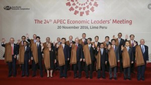 24th APEC Economic Leaders Meeting in Peru