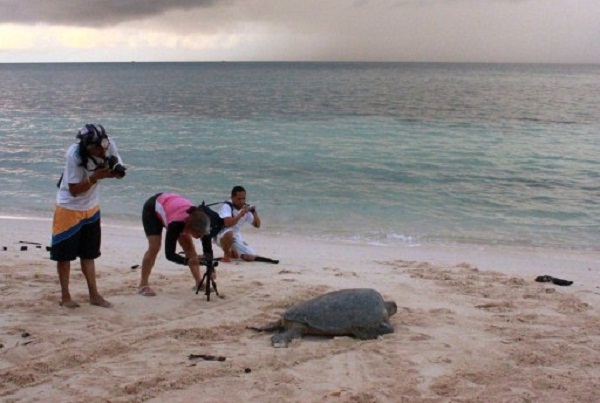 This undated handout photo released by Conservation International on January 31, 2012 shows volunteers taking photos of a turtle making its way into the open sea at a remote sanctuary of Turtle islands, Tawi-Tawi province, in the Philippines southern island of Mindanao.  Globally endangered green turtles are enjoying a baby boom on remote Philippine islands as a three-decade protection programme starts to pay off, environment group Conservation International said.    AFP PHOTO / Rina Bernabe / Conservation International         --- EDITORS NOTE    RESTRICTED TO EDITORIAL USE   MANDATORY CREDIT "AFP PHOTO / Rina Bernabe / Conservation International --- NO MARKETING NO ADVERTISING CAMPAIGNS - DISTRIBUTED AS A SERVICE TO CLIENTS ONE TIME USE  NO ARCHIVES