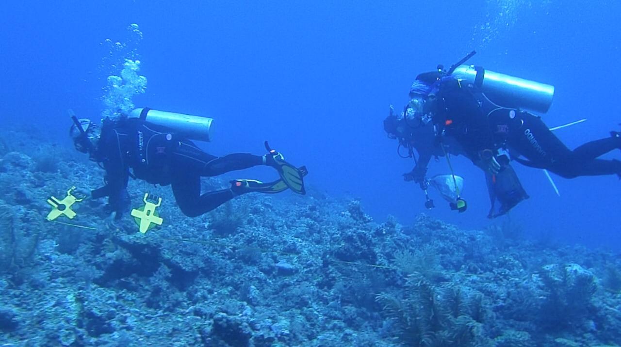 WATCH: Filipino scientists find damaged coral reefs, plastics in Spratlys