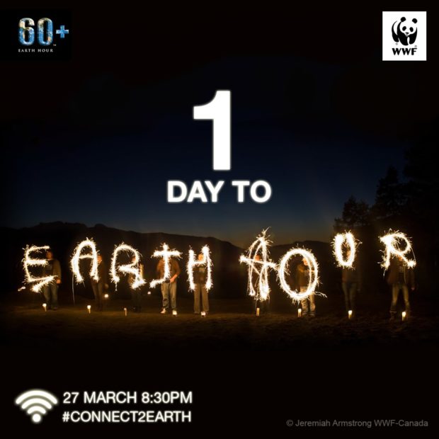 Earth Hour Globe