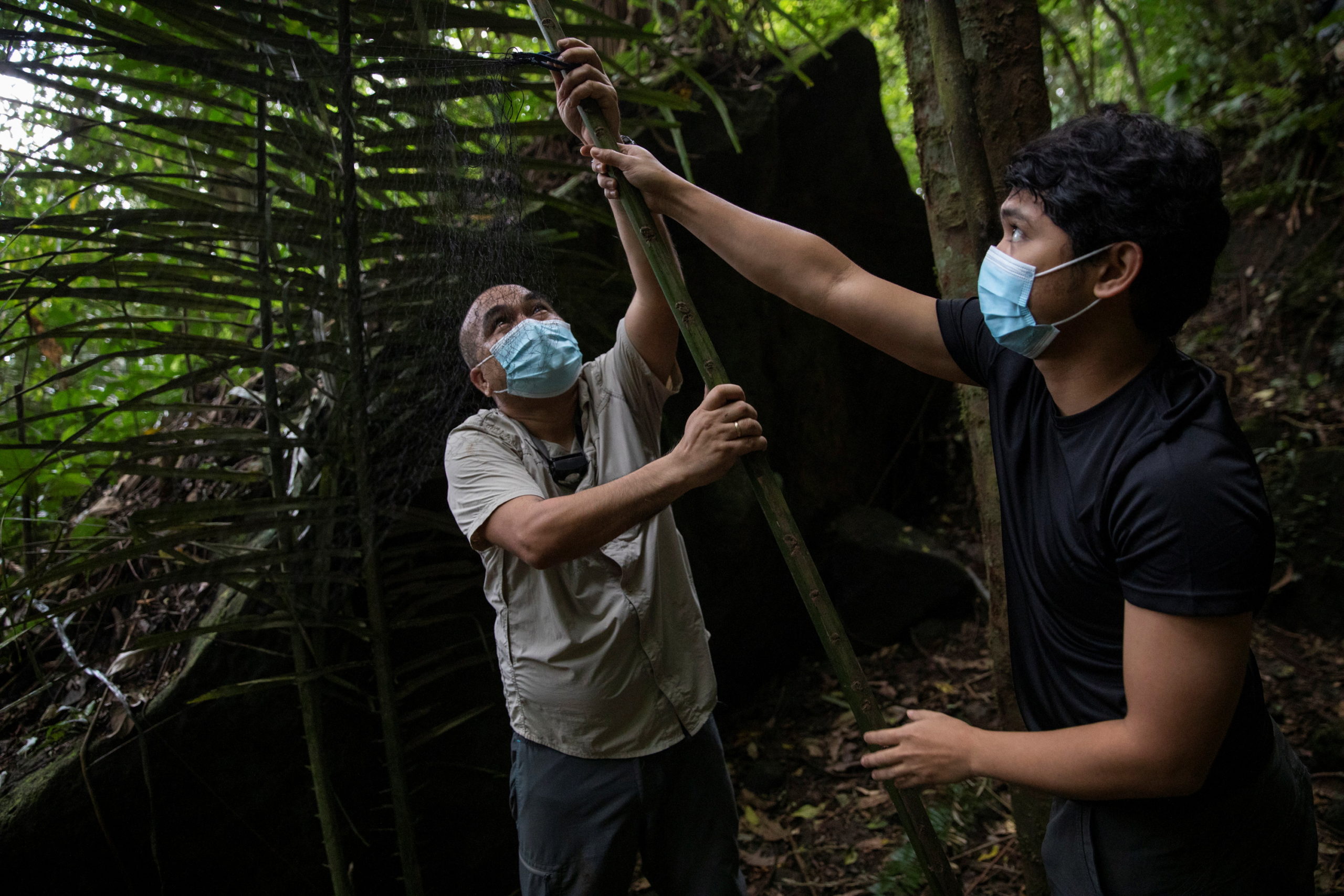 Filipino 'virus hunters' hope to stop next pandemic by catching bats