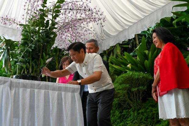 Philippine President Ferdinand 'Bongbong' Marcos Jr. (2nd R) accompanied by his wife First Lady Louise Araneta-Marcos (R) with Singapore Foreign Minister Vivian Balakrishnan (2nd L) and his wife Joy Balakrishnan (L) attend an orchid naming ceremony at the National Orchid Garden in Singapore on September 7, 2022. (Photo by Roslan RAHMAN / POOL / AFP)