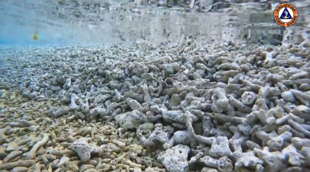 WATCH: PCG Shows Severe Damage In Rozul Reef, Escoda Shoal In WPS ...