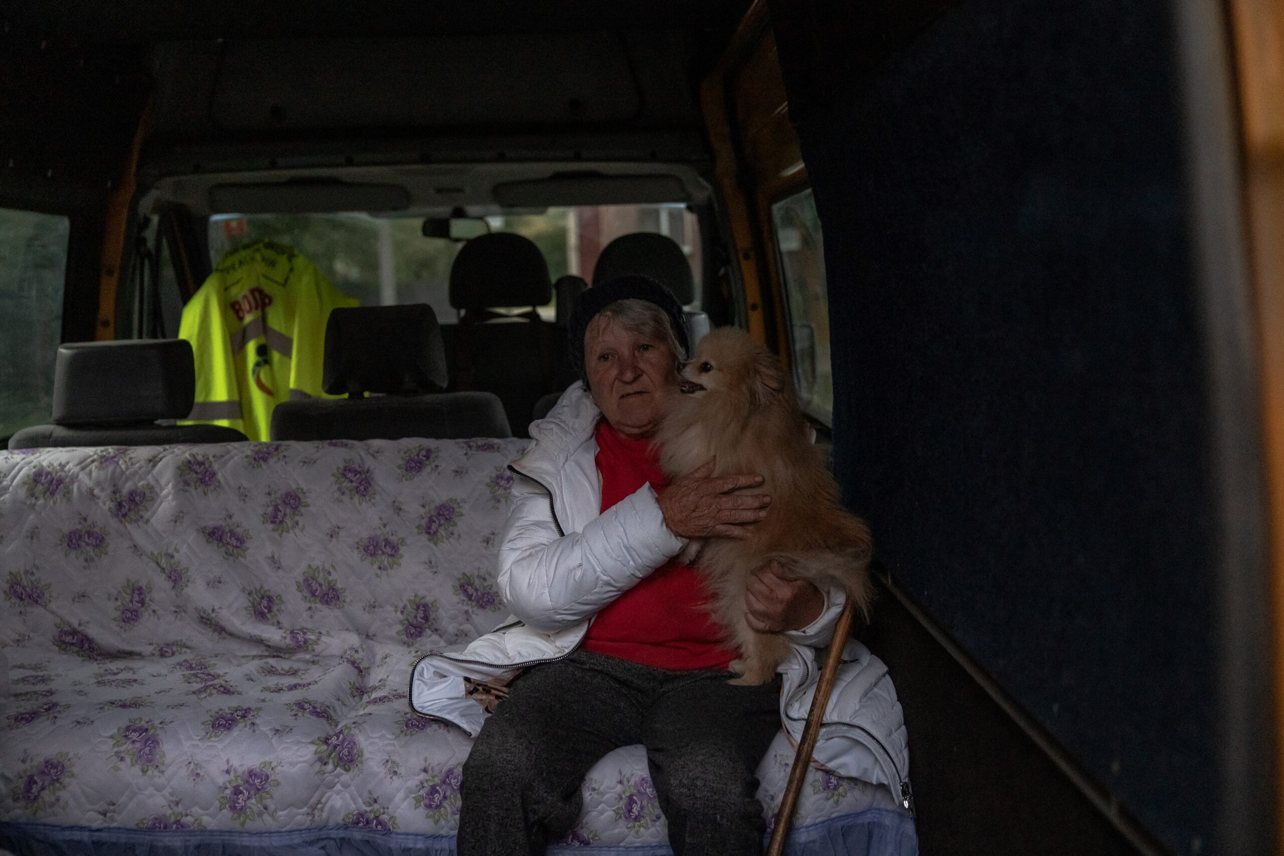 Volunteers evacuate dogs in Ukraine after new Russian offensive