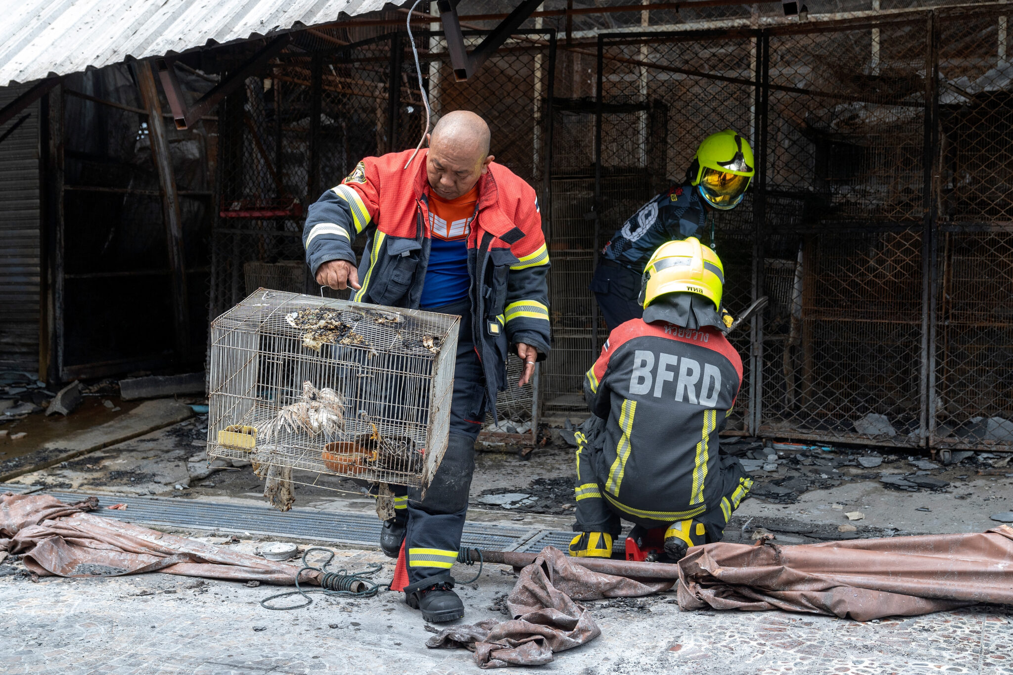 Over 1,000 animals killed in fire at Bangkok’s Chatuchak Market