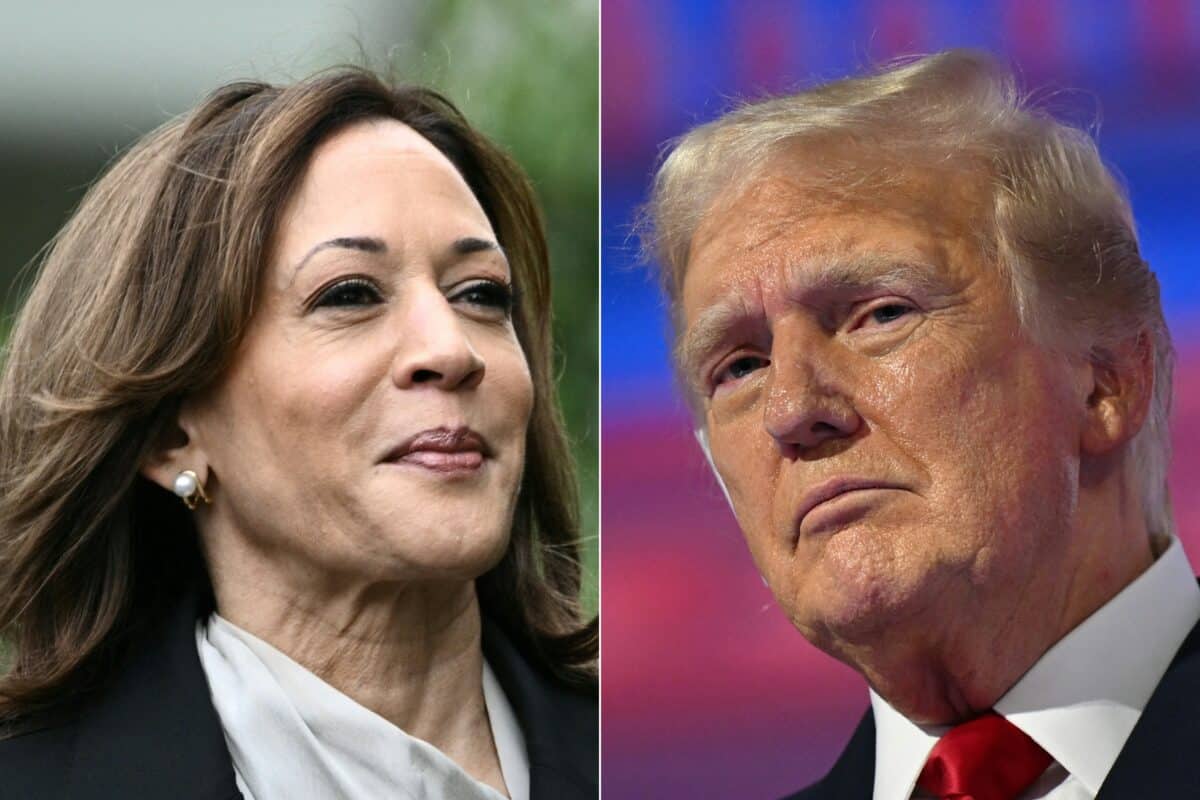 Trump supporters hoit Harris