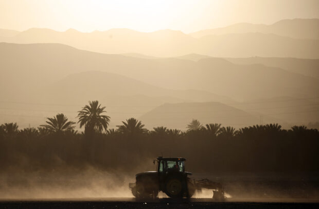 A farmworker operates a tractor as the sun rises on July 3, 2024 near Coachella, California. A long-duration heat wave is impacting much of California starting today with authorities warning of extreme health and wildfire risks. An excessive heat warning is in effect for all of the Coachella Valley through July 8th with highs forecast of up to 121 degrees.