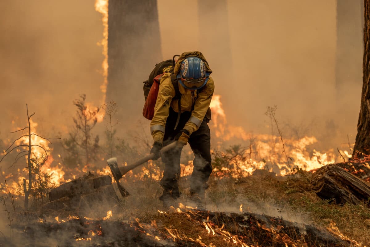 Flames quickly grow as firefighters set a backfire on the eastern front of the Park Fire, which has grown to 360,141 acres and is 12 percent contained, on July 28, 2024 near Chico, California. Strong winds and dried vegetation fueled the fire that exploded 70,000 acres in the first 24 hours after a man allegedly pushed a burning car into a ravine to intentionally set the blaze. In 2018, more than 18,000 structures were destroyed and 85 people killed in the nearby town of Paradise when the Camp Fire entrapped thousand of people and became the deadliest and most destructive fire in California history