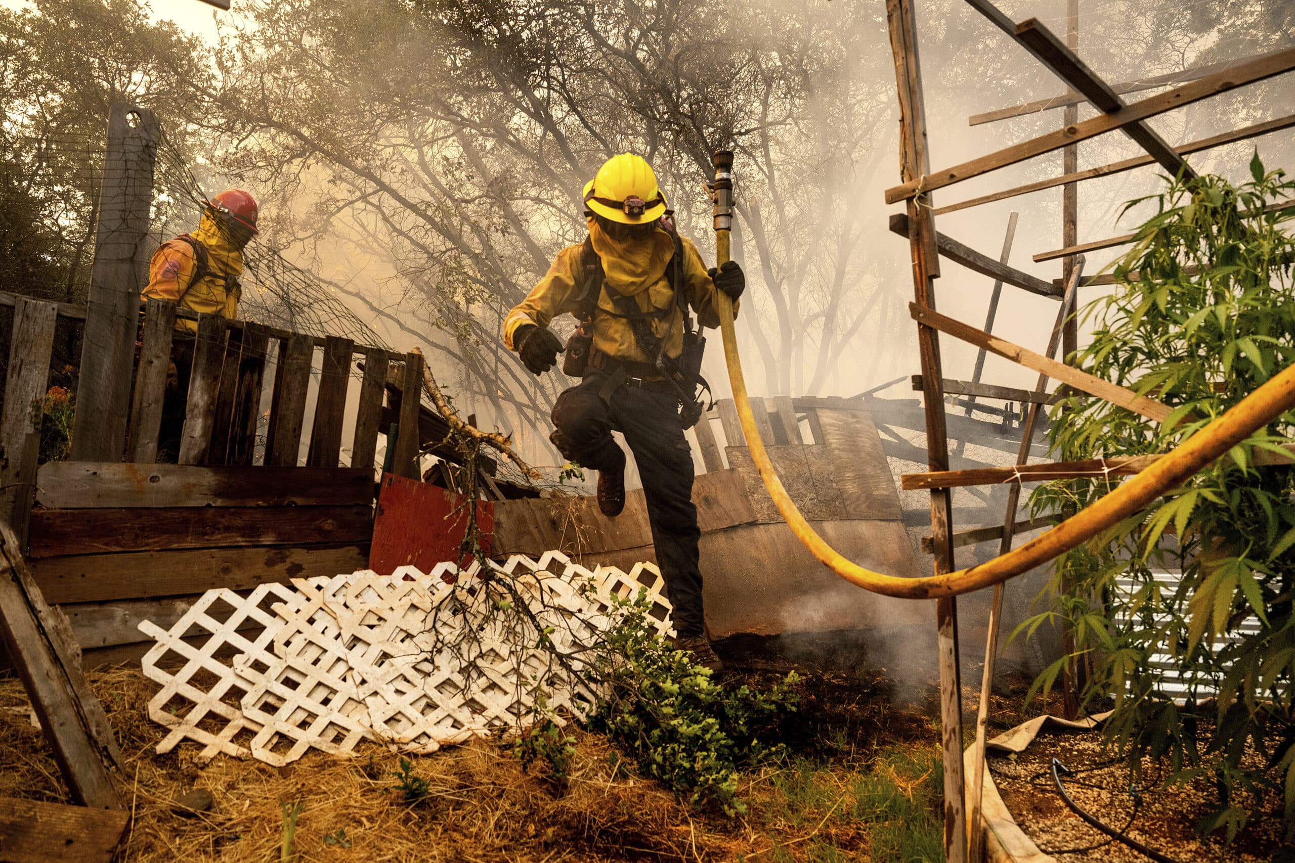 Plane crash kills firefighting pilot in Oregon as wildfires spread