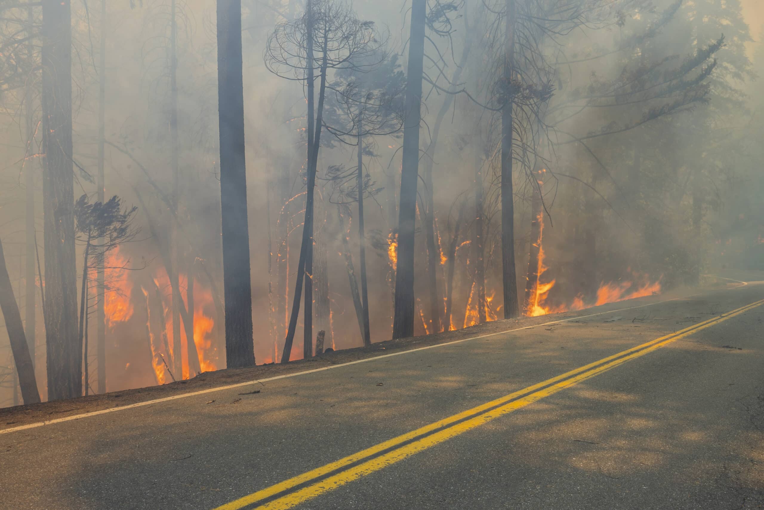 Crews battle wildfires across western US