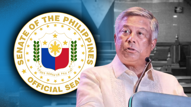 Pagcor chief Tengco appears in Senate probe into Pogos