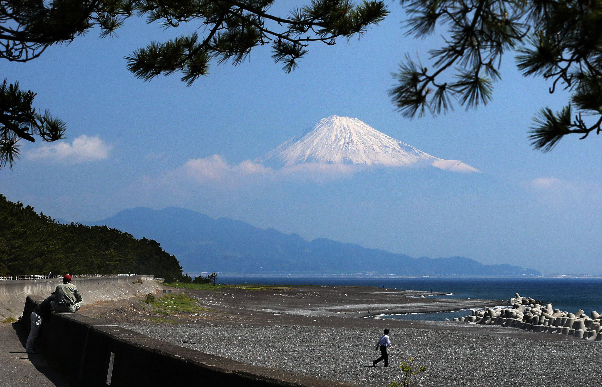 Foreign residents surge in Japan as number of citizens drops