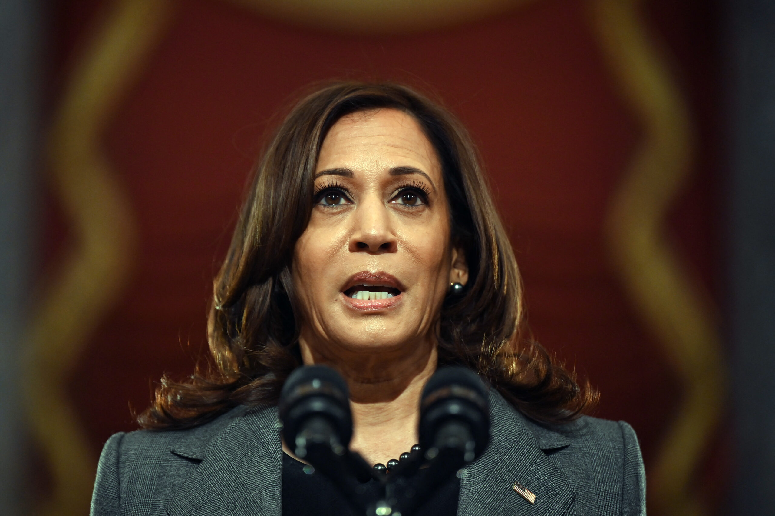 Top US Democrats fall in line as Harris steams towards nomination