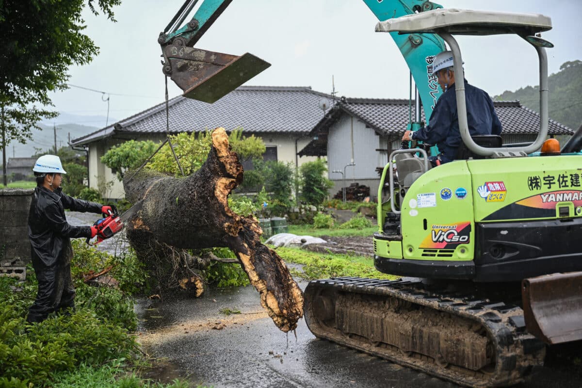 Workers remove a fallen tree brought down by strong winds from Typhoon Shanshan in Usa, Oita prefecture on August 29, 2024. - Typhoon Shanshan hit Japan with full force on August 29, injuring dozens as howling winds smashed windows and blew tiles off houses while torrential rains turned rivers into raging torrents.