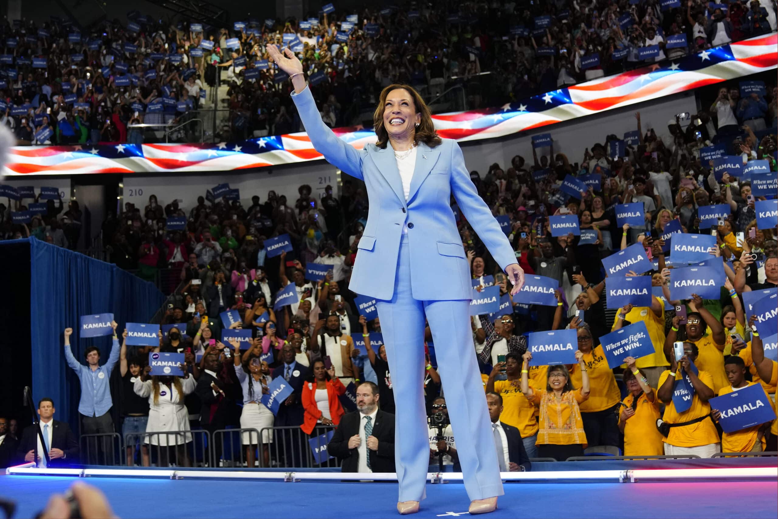 Harris secured enough votes to become Democratic party's nominee – chair