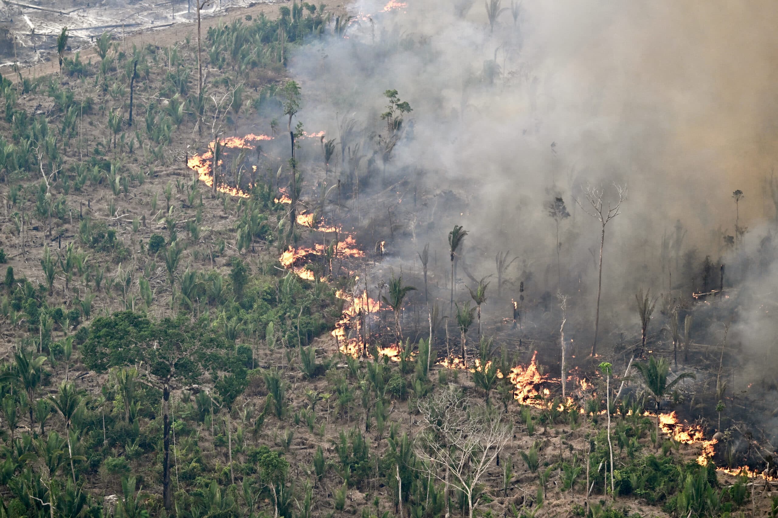 Brazilians 'struggling to breathe' as Amazon burns