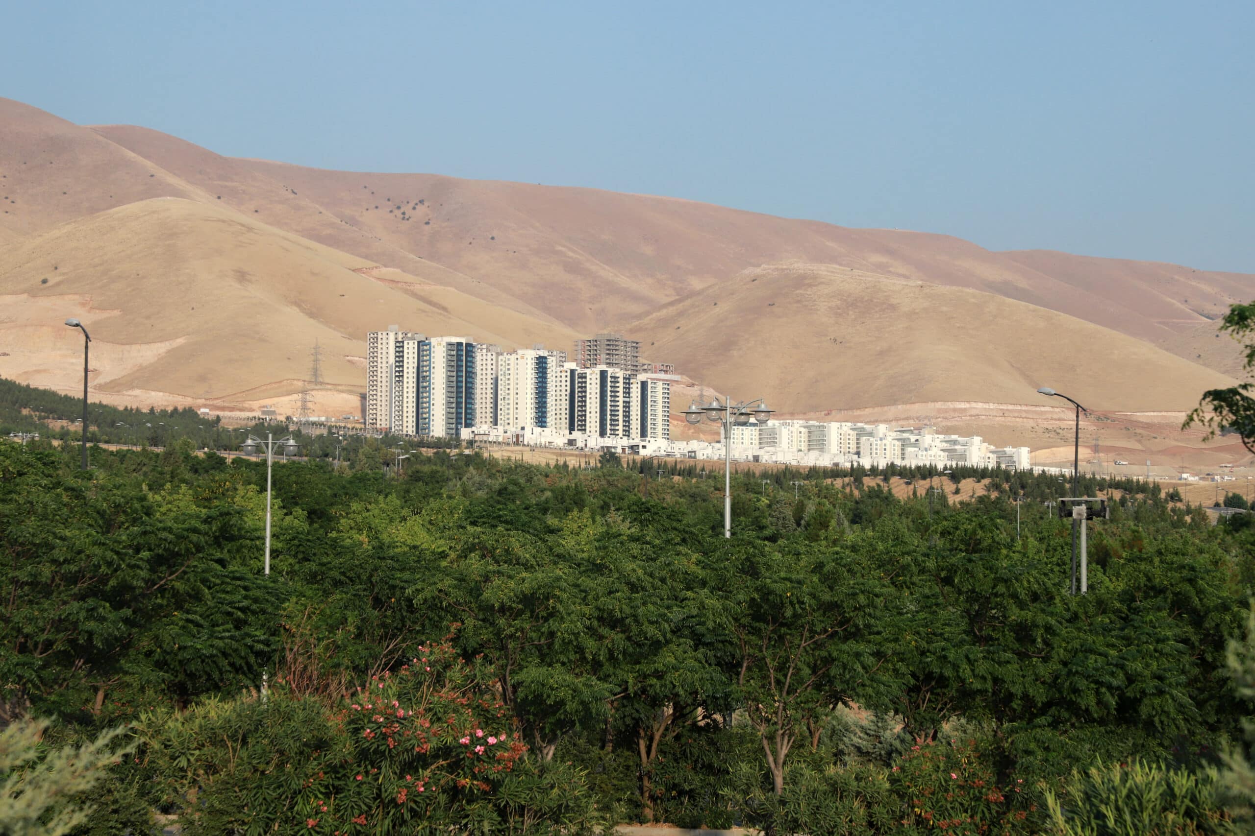 Saving the vanishing forests of Iraq's Kurdistan