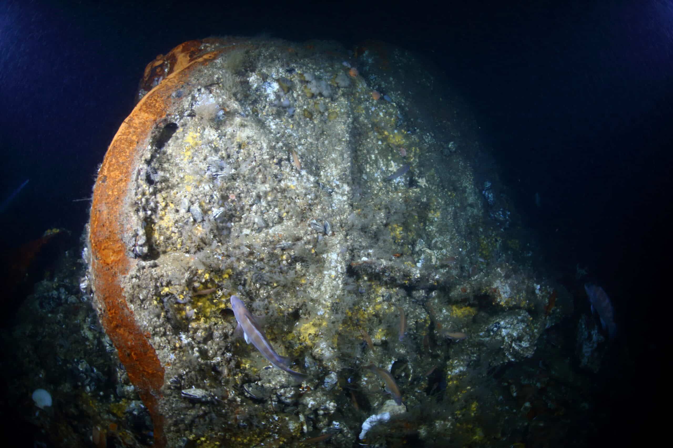 Wreck discovered of French steamship that sank in Atlantic in 1856