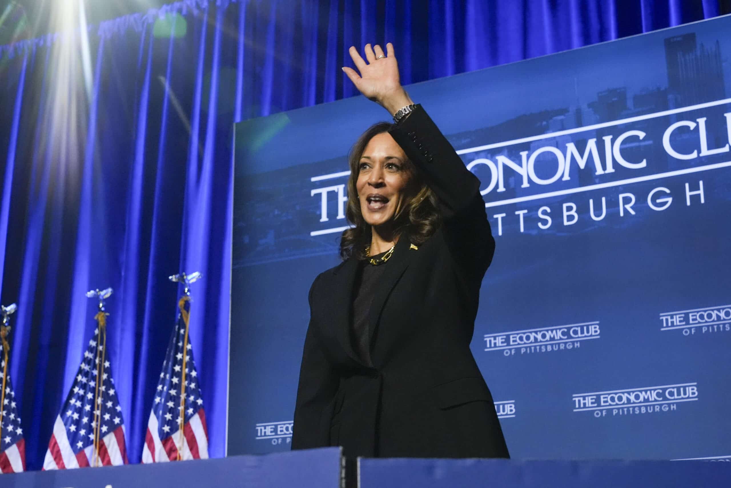 Kamala Harris makes 'capitalist' pitch to boost economy