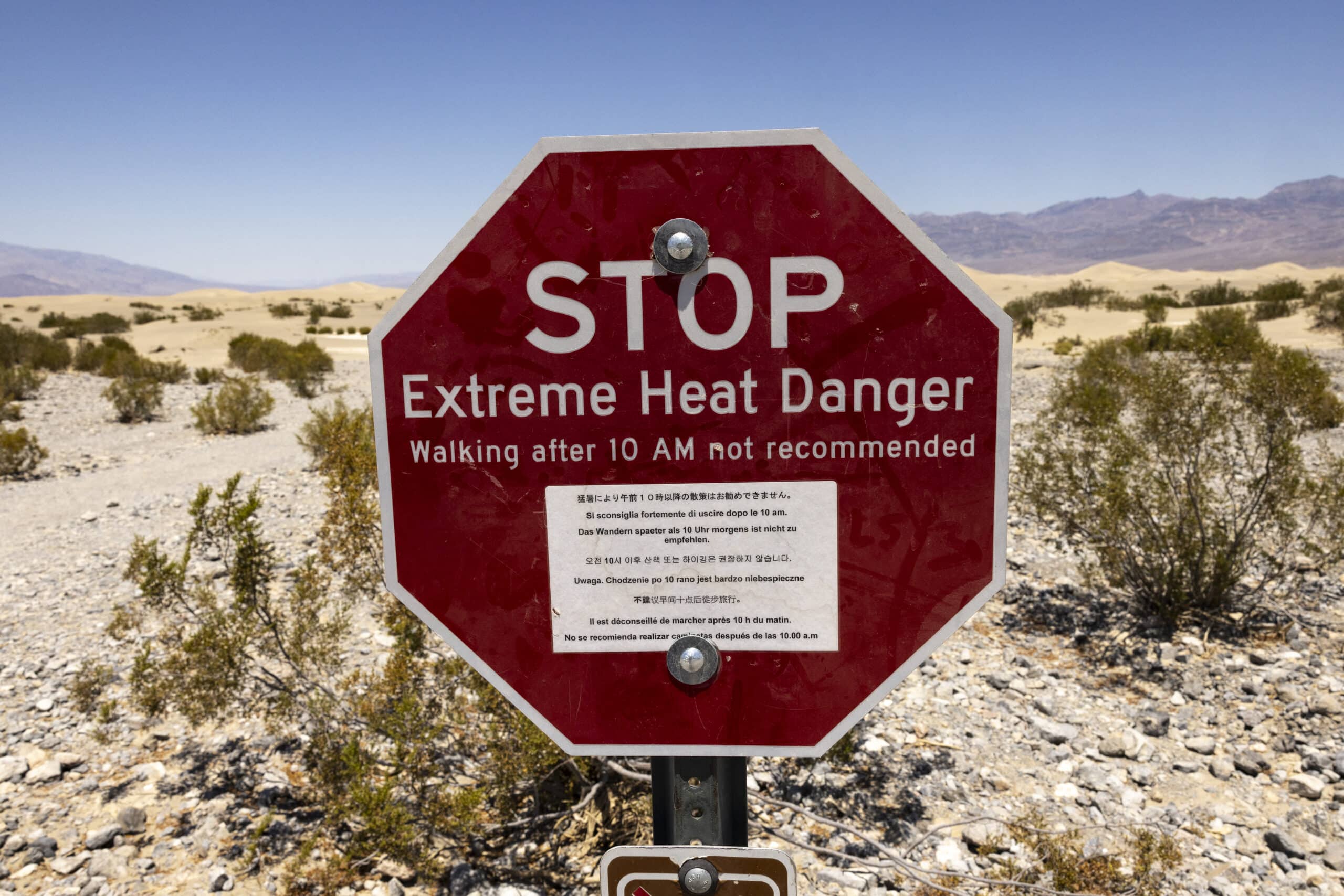 California girds for punishing heatwave