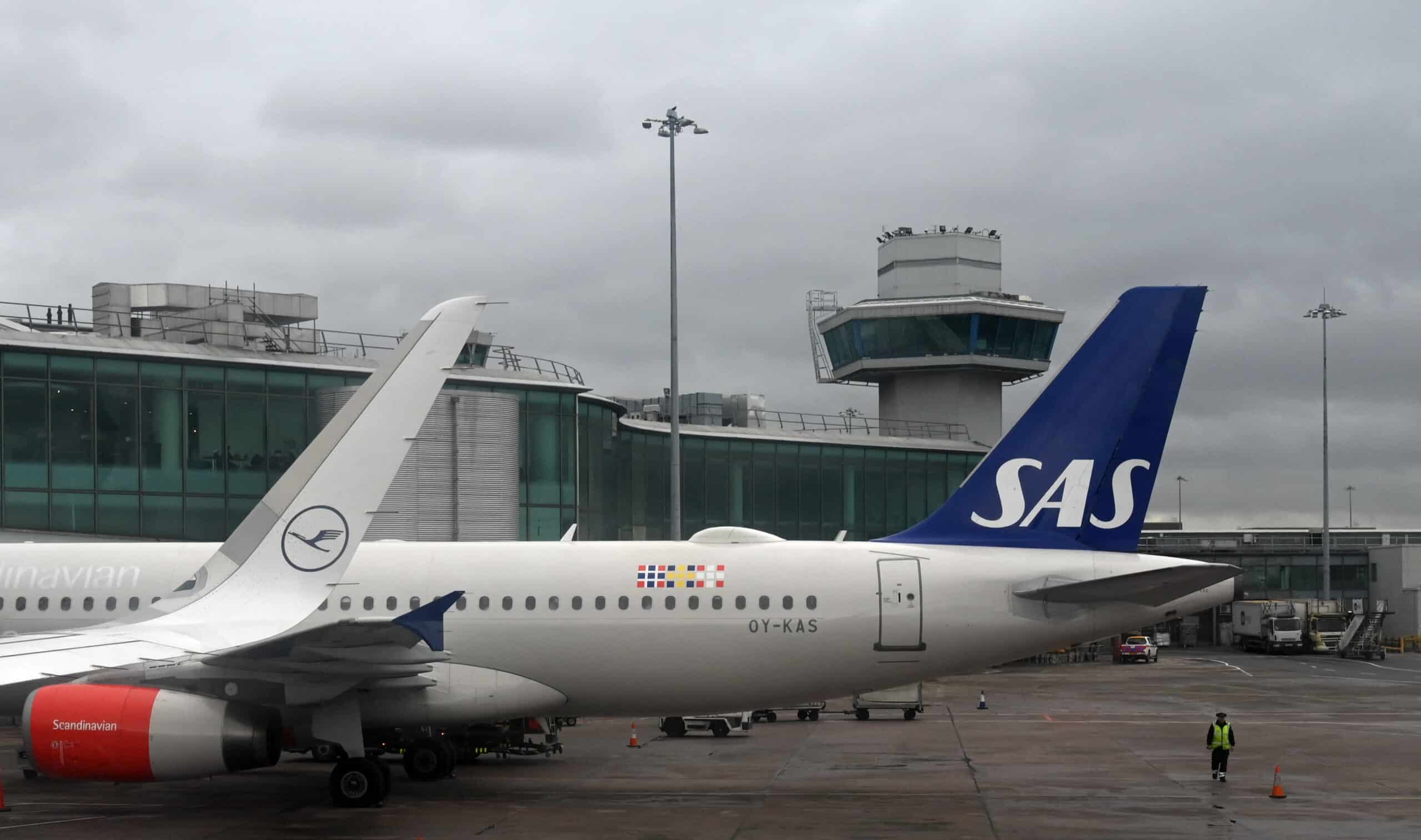 SAS flight diverts after mouse crawls out of passenger's meal