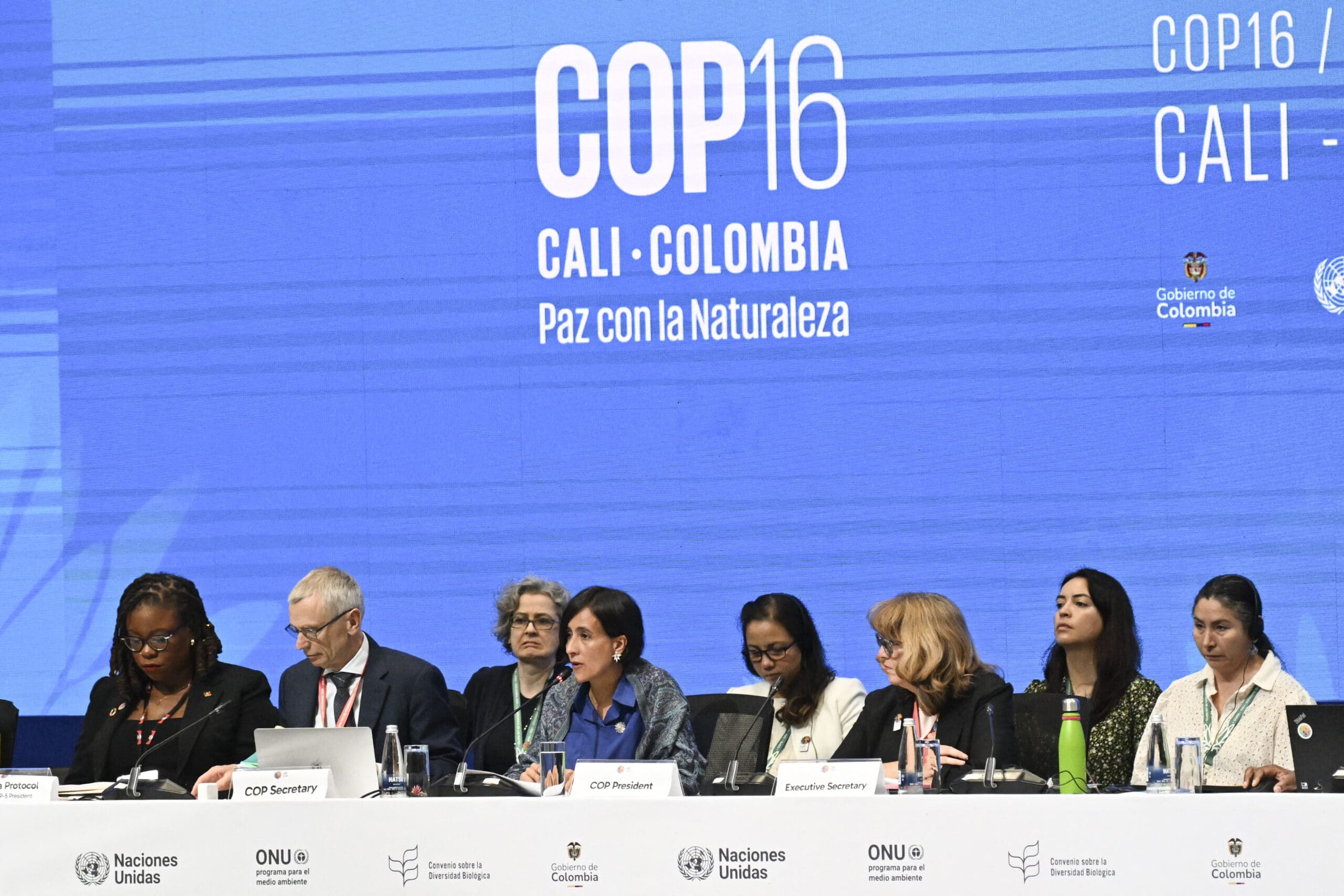 COP16 president hopeful of 'major announcements' soon