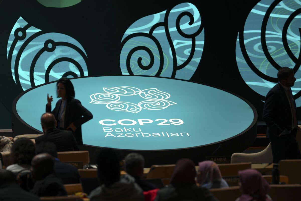 COP29