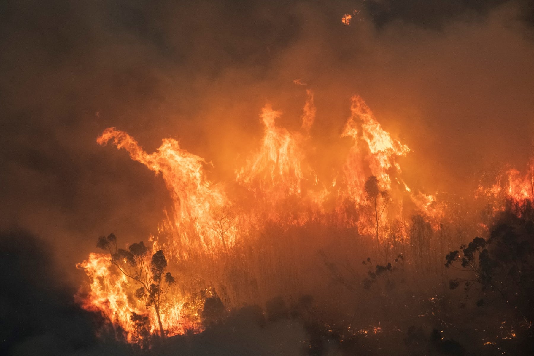 Raging bushfires in Australia destroy home and livestock