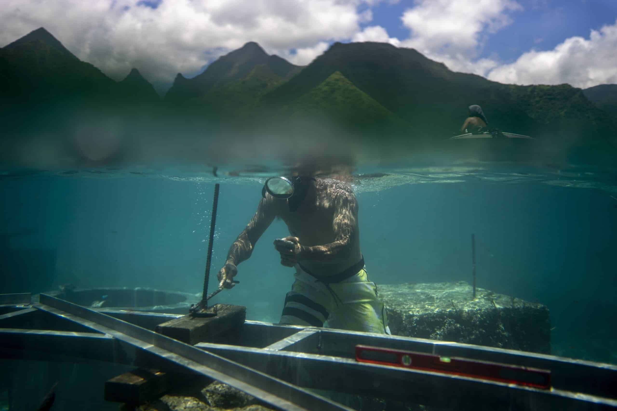 Climate photos that defined the year