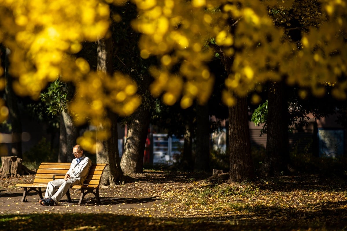 Japan witnesses warmest autumn on record