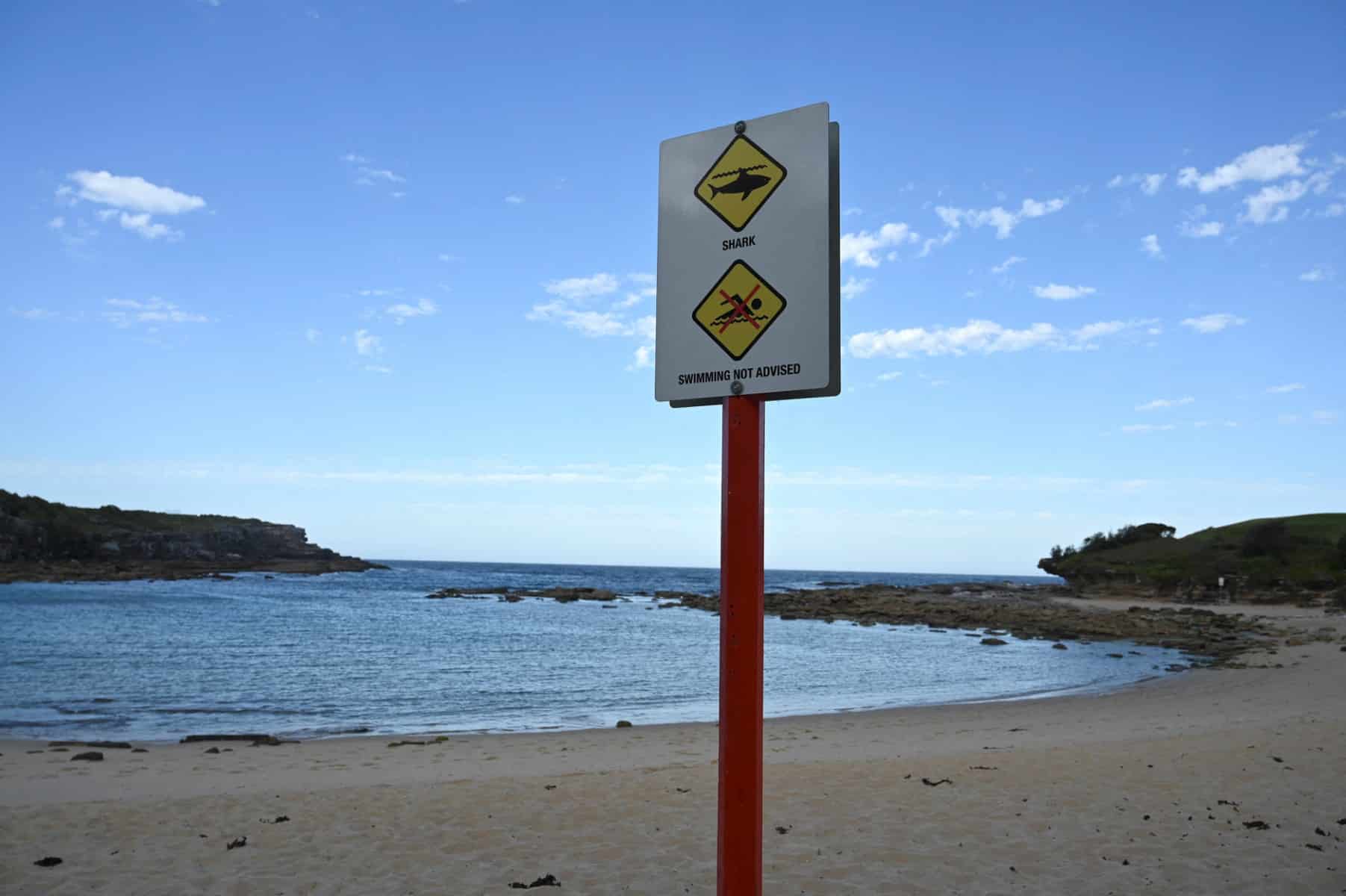 Shark kills man fishing in Australia's Great Barrier Reef