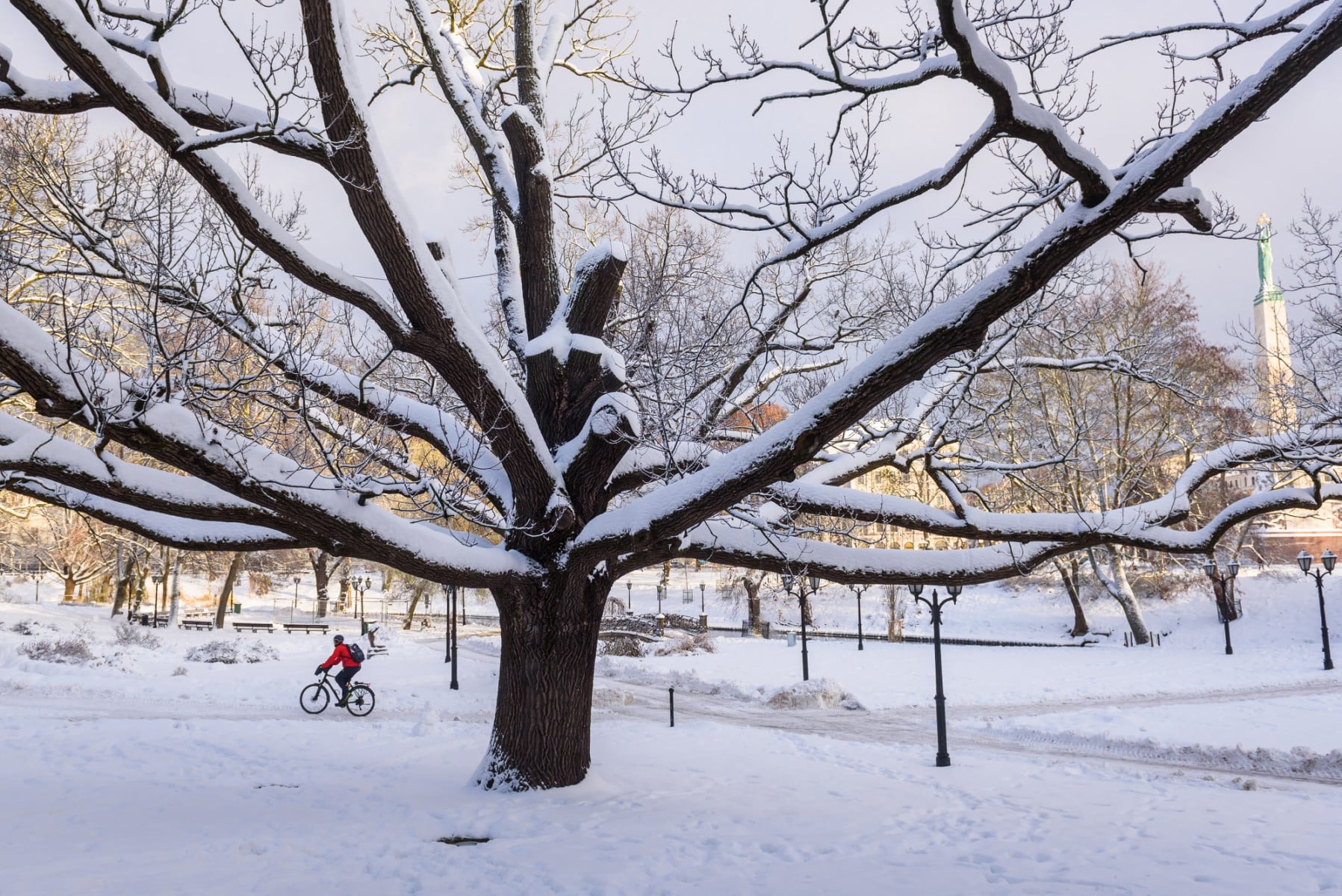 White Christmas dreams dashed as Europe's winters heat up