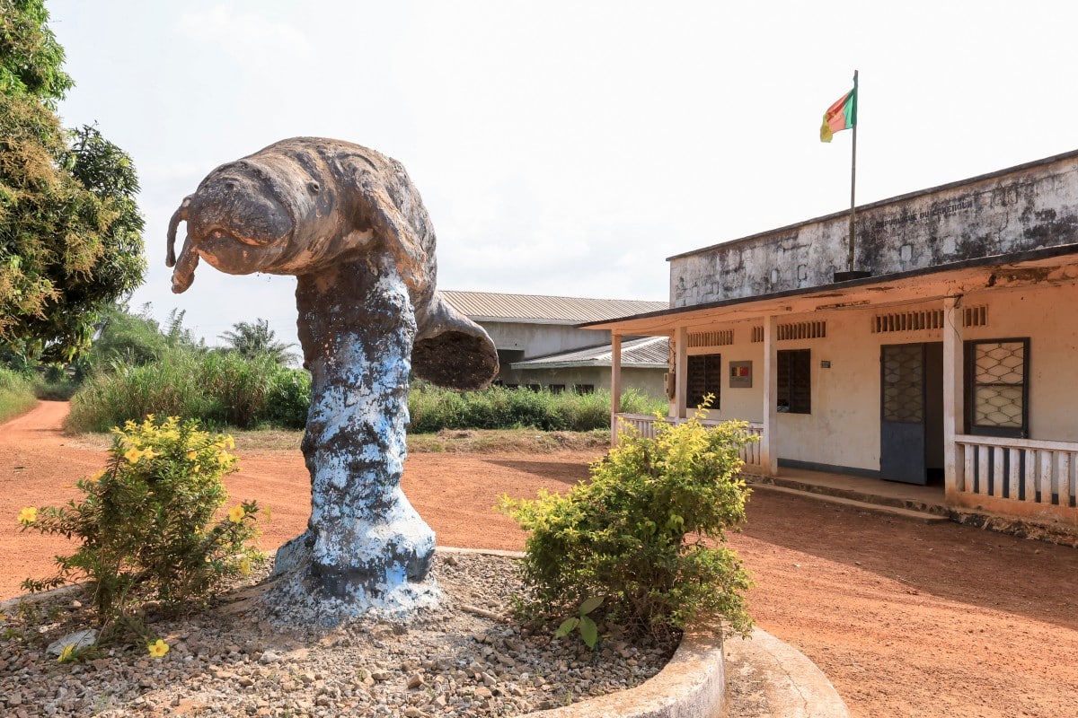 Saving the mysterious African manatee at Cameroon hotspot