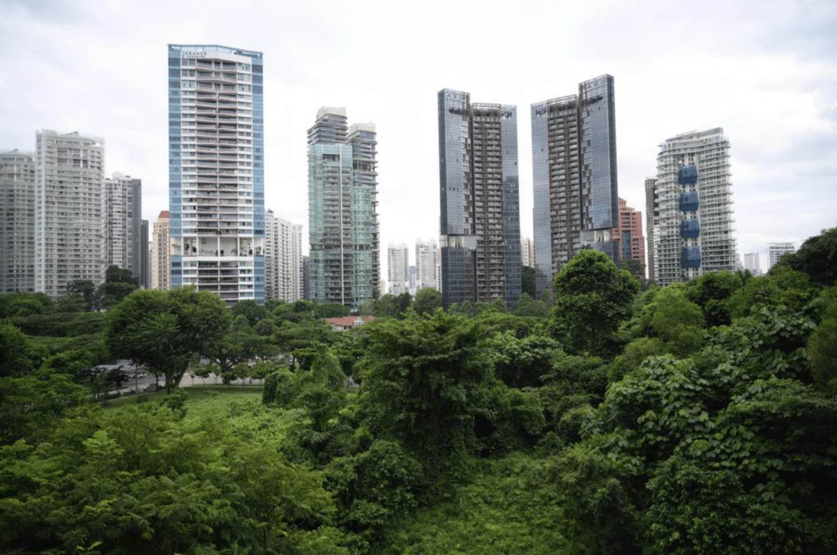 The forest is home to many different species of plants.