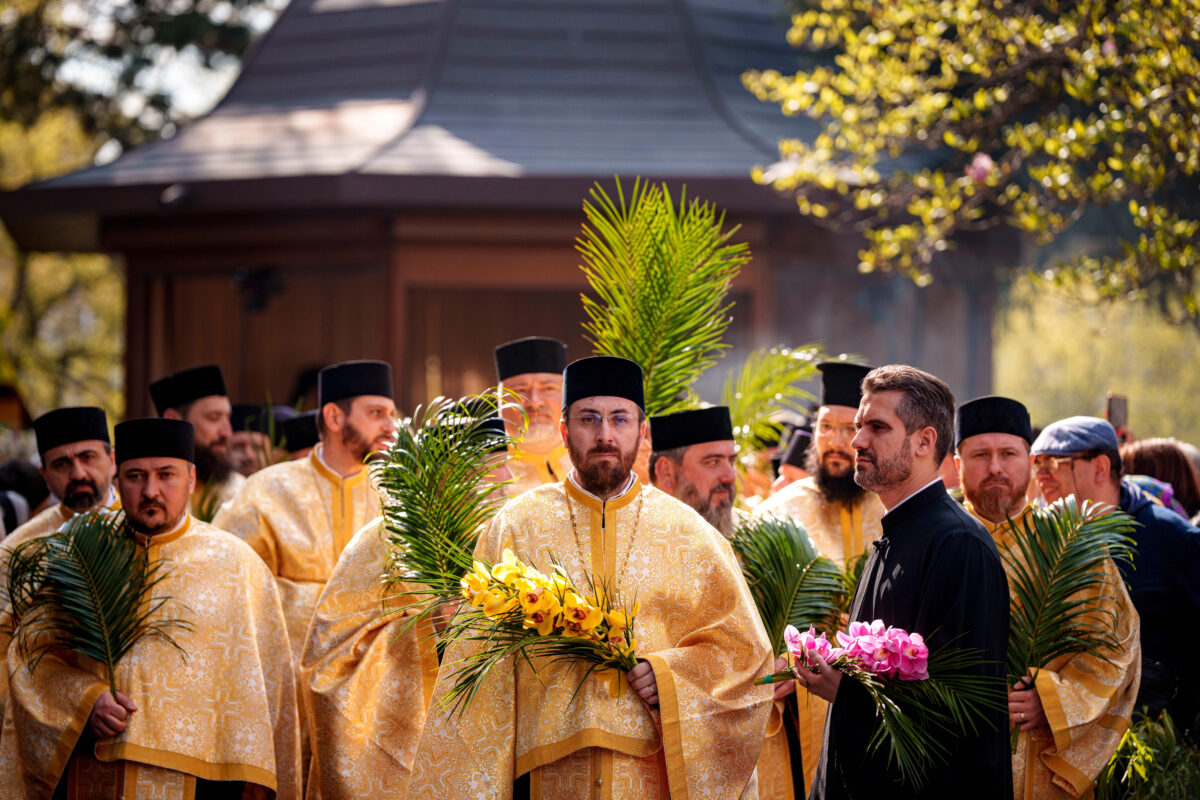 Palm Sunday