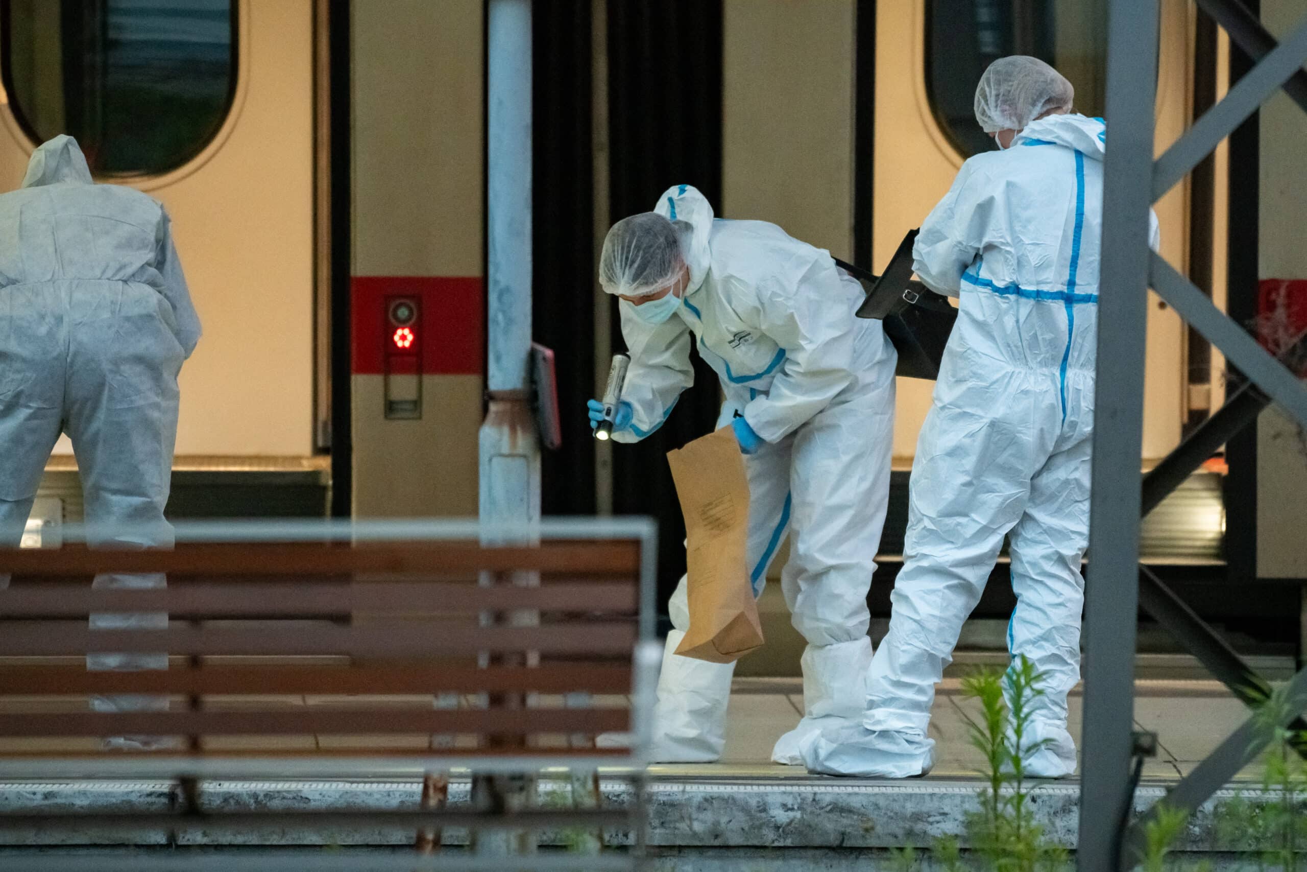 German woman arrested after 17 stabbed at Hamburg station