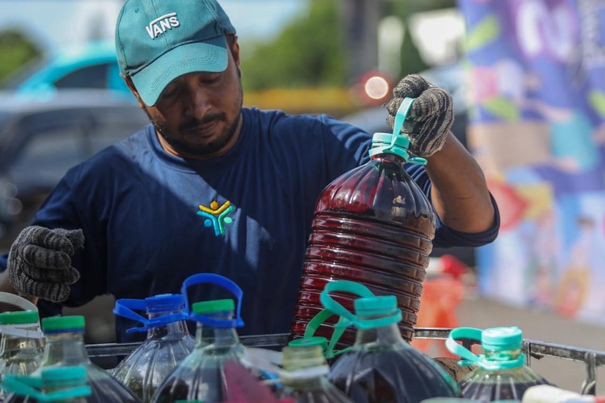 Turbulence ahead: How used cooking oil could hinder aviation’s green fuel hopes