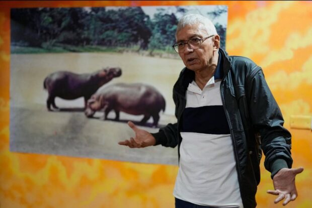 Colombian artists tackle drug war -- thru Escobar pet hippos