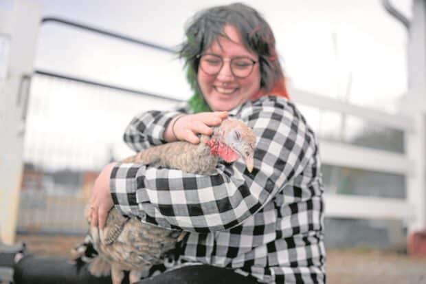 Featured article middle 12