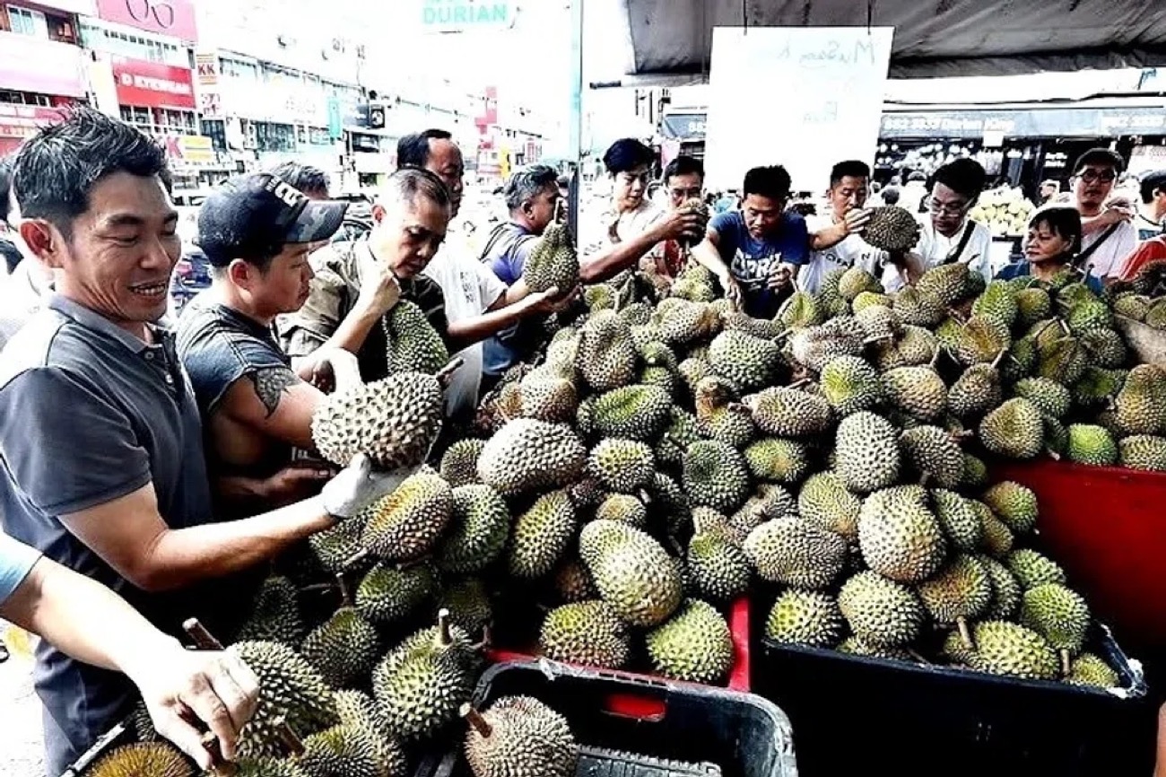‘Durian tsunami’: Musang King prices in Malaysia fall after bumper crop