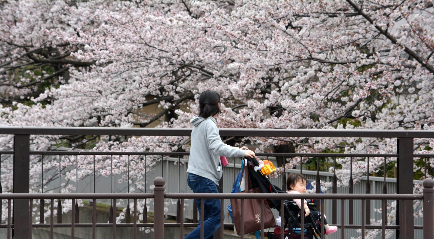 Babysitting services for foreign tourists taking off in Japan