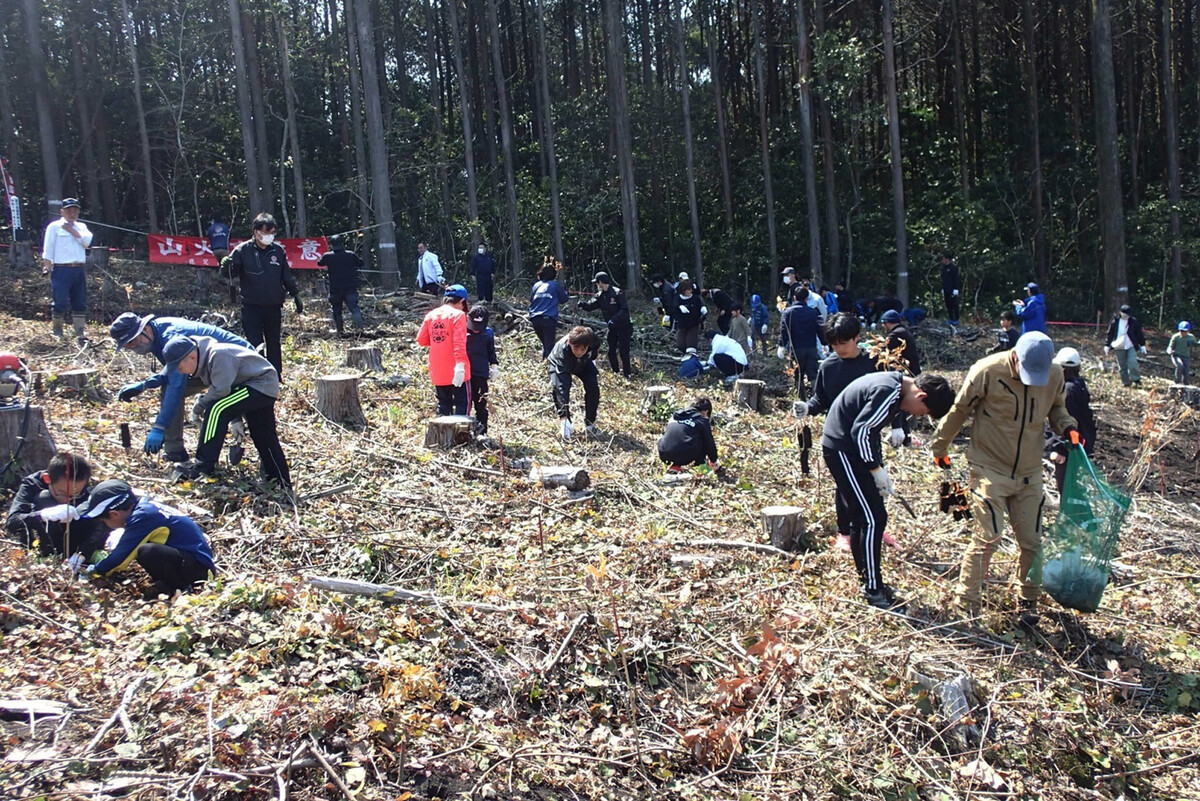 Japan to quantify companies’ forest conservation efforts