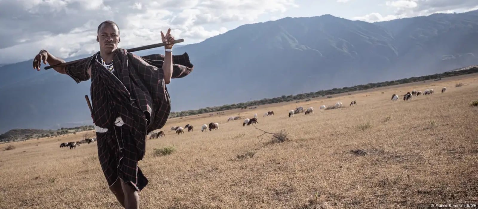 Human cost of wildlife conservation in Tanzania